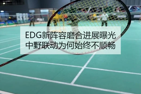 EDG新阵容磨合进展曝光 中野联动为何始终不顺畅