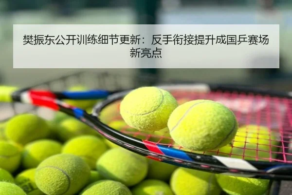 樊振东公开训练细节更新：反手衔接提升成国乒赛场新亮点