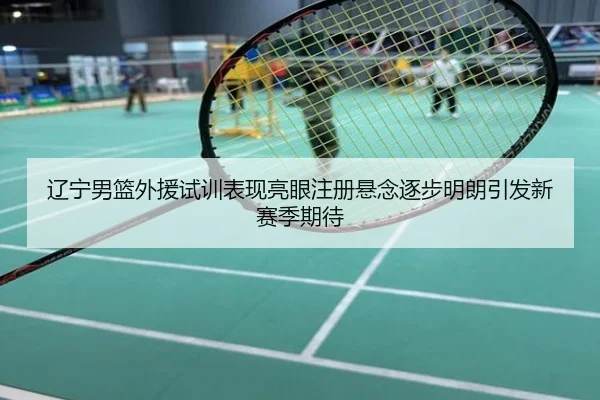 辽宁男篮外援试训表现亮眼注册悬念逐步明朗引发新赛季期待