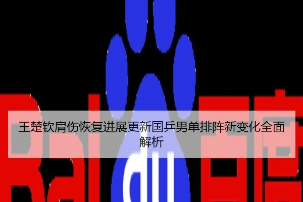 王楚钦肩伤恢复进展更新国乒男单排阵新变化全面解析